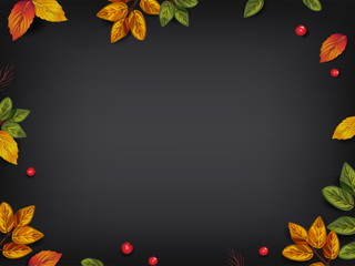 Autumn leaves on blackboard