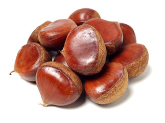 Sweet chestnut on white background