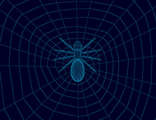 Wireframe web with a spider from blue lines on a dark background. View from above. Vector illustration.