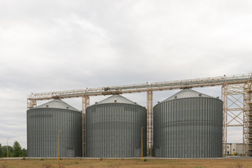 Modern elevator for storing grain against the sky. Grain drying complex, storage and transportation of grain. Large granary in the field. Agricultural industry