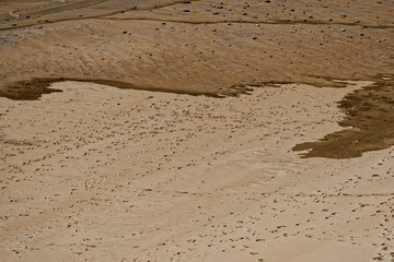 Spuren im Sand