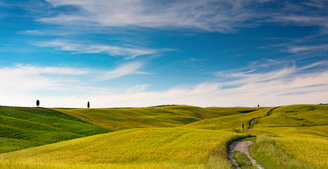 Path through the fields south of Pienza with cypress trees on the hills around San Quirico in the Val D'Orcia in Tuscany, Italy
