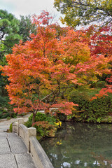 四天王寺の紅葉