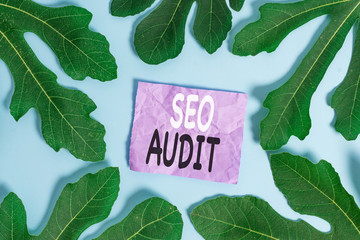 Word writing text Seo Audit. Business photo showcasing Search Engine Optimization validating and...