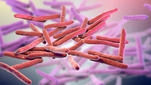 Mycobacterium leprae bacteria, the causative agent of leprosy, 3D illustration