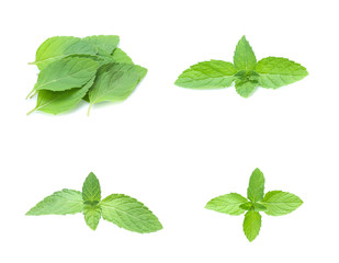 mint leaves isolated isolated on white (set  mix   collection)