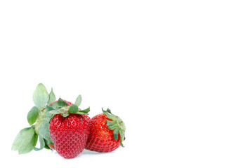 copy space strawberry isolated