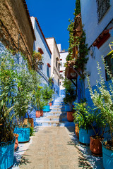 The famous blue city of Chefchaouen.