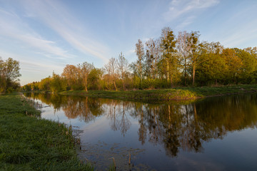 Fototapeta na wymiar Reflections on the lake. Landscape at a lake