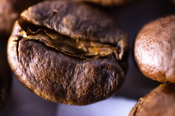 Coffee bean in macro shot