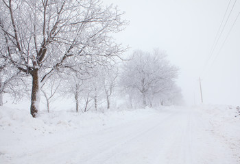 country road covered by snow in the winter 