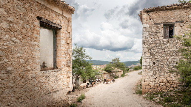 goats on road between ruined houses in abandoned earthquake village Palia Plagia in Greece