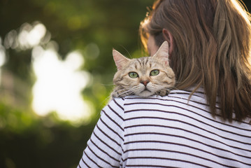 Asian woman holding her cat i