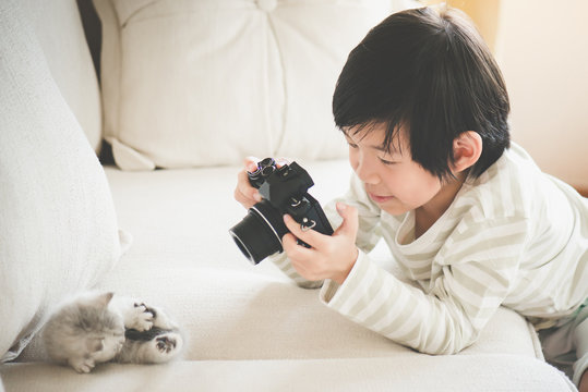 Asian child taking a photo of persian kitten