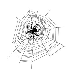 Set of spider web of different shapes with black spiders isolated