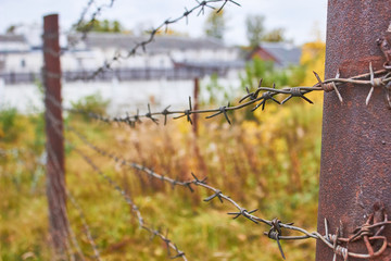 barbed wire fence