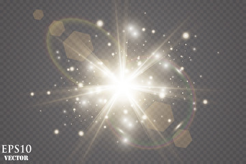 Vector transparent sunlight special lens flare light effect.