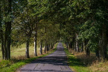 Beautiful diverse green landscape of the Czech Republic region Vysocina