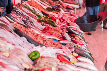 Fish and seafood / Market stall with fresh fish and seafood.