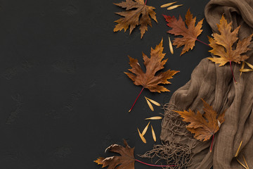 Brown scarf with autumn fallen leaves on black background