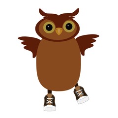 nice owl on white background 