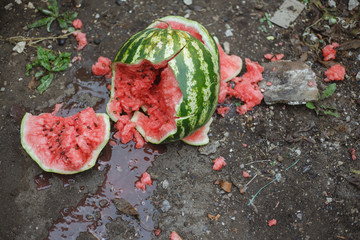 Watermelon fell on the ground, black background.