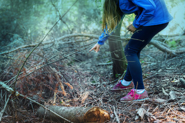 Obraz premium Girl in blue blouse is looking for mushrooms in the forest. Family trip in the autumn colorful woods.
