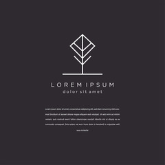 Nature leaves and trees logo Template. Vector illustration . on black background . 