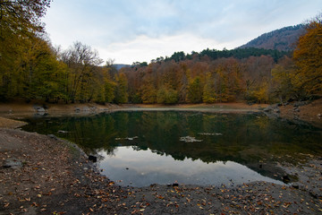 Beautiful autumn views of Yedigoller National Park. Reflection of trees. Colored leaves. Falling leaves. Wooden stairs. Photo taken on 10th November 2018 Yedigoller