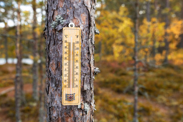 The thermometer on the background of autumn trees. Cold autumn day.