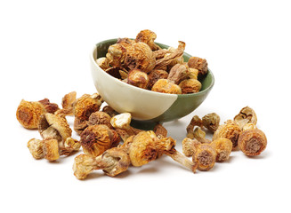 dried mushroom on white background