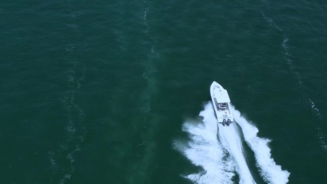 Boats in tampa bay
