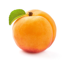 One apricot with leaf in closeup