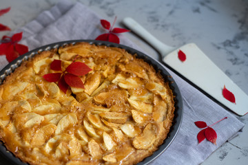 Charlotte apple pie in a round shape, decorated with apple slices lined with a fan, a white shovel for cakes, autumn leaves, all on a light, marbled - gray background. 
