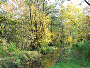 Golden autumn in Moscow park