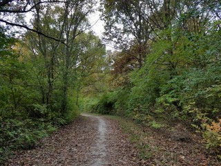 Obraz premium Light Snow Landscape