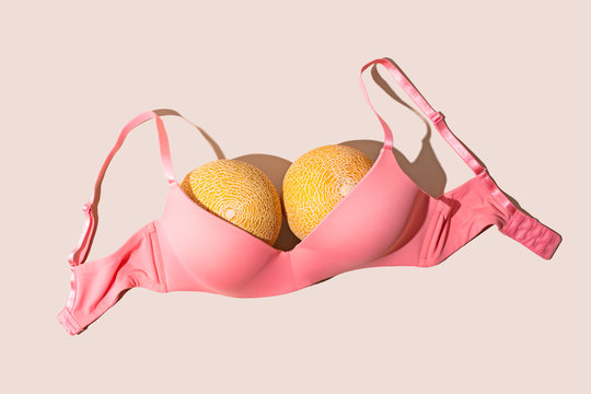 Melons Breast Bra Concept 
