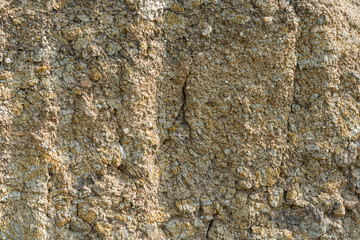 Texture of different layers of clay underground in a clay quarry. clay wall background close up