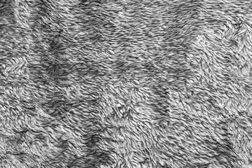 White natural wool texture background. seamless grey sheep fur. soft plush