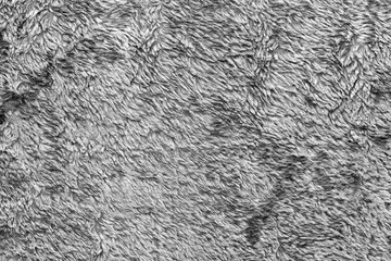 White natural wool texture background. seamless grey sheep fur. soft plush