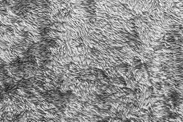 White natural wool texture background. seamless grey sheep fur. soft plush