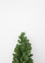 Fir tree isolated on white background