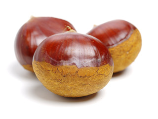 Obraz premium Sweet chestnut on white background