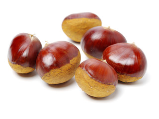 Sweet chestnut on white background