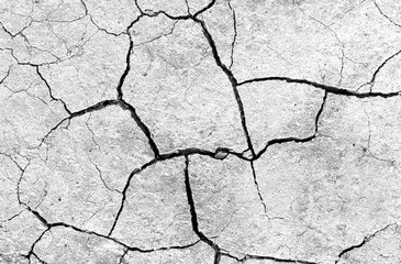 White dried and cracked ground. erosion earth background. cracked dry wall surface. white natural...