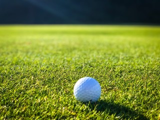 BALLE DE GOLF SUR LE GREEN