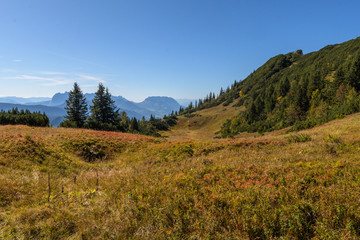 Herbtfarben der Blaubeeren Sträucher  mit Bergblick im Herbst