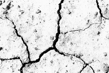 Obraz premium White dried and cracked ground. erosion earth background. cracked dry wall surface. white natural cracked texture