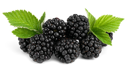 .blackberry on a white background