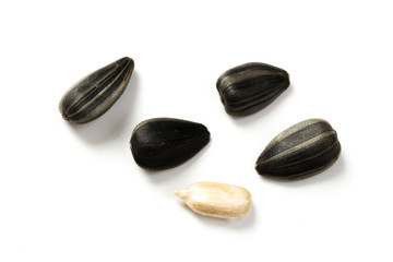 Collection of black sunflower seeds isolated on white, clipping path